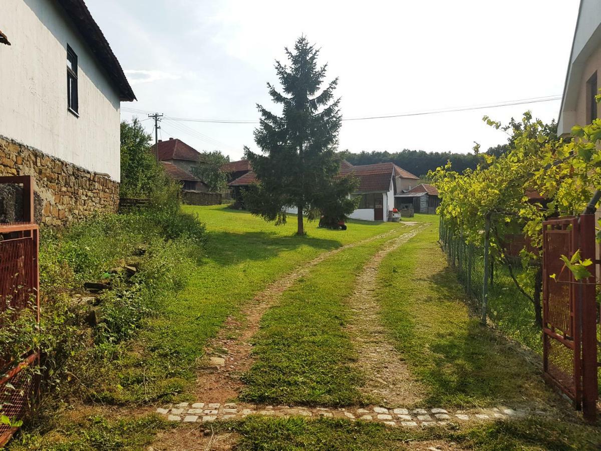 Green Apartments Kursumlija Экстерьер фото